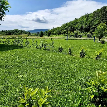 Idila Pod Nanosom Appartamento *