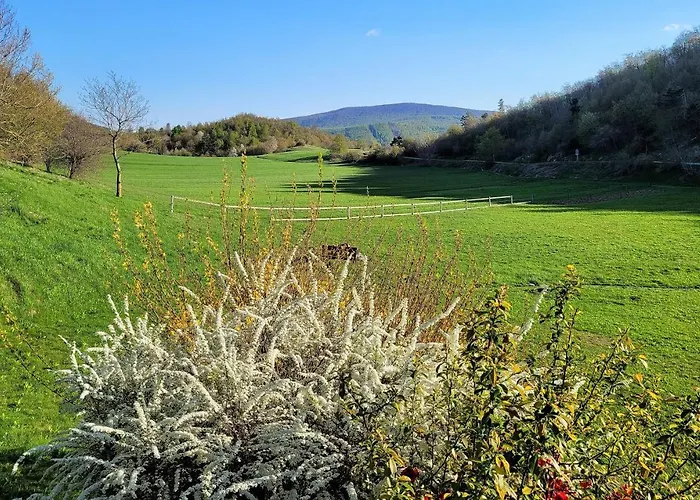 Idila Pod Nanosom * Senožeče